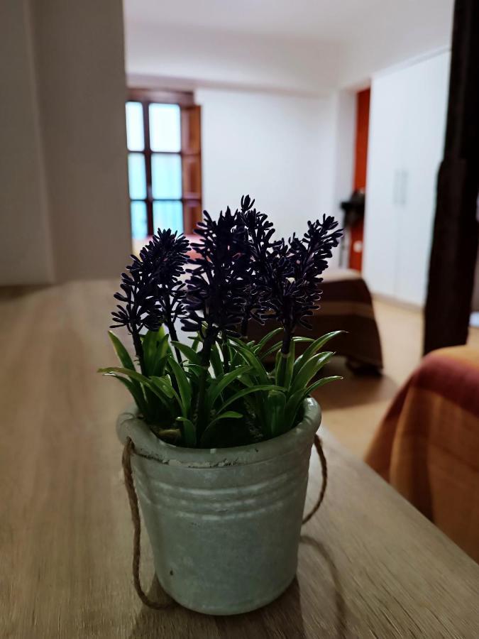 Corrala De San Anton. Sencillo Apartamento En Pleno Centro Granada Ngoại thất bức ảnh